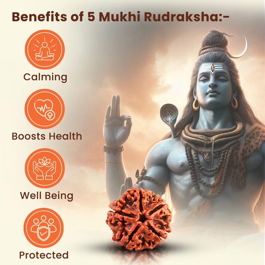 Gold Plated Rudraksha Bracelet